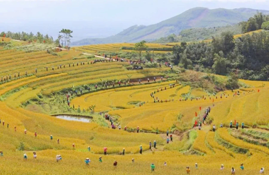 Đông đảo du khách đến chiêm ngưỡng ruộng bậc thang.