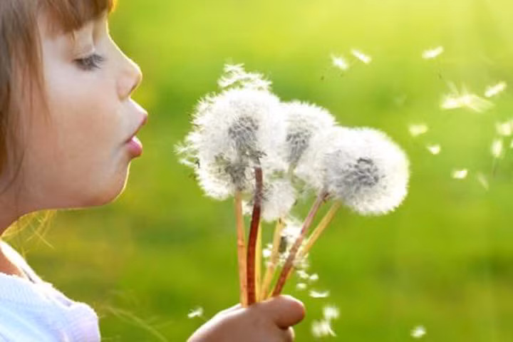 Làm người "giản đơn là khỏe, cuộc sống "thà tĩnh là hơn"