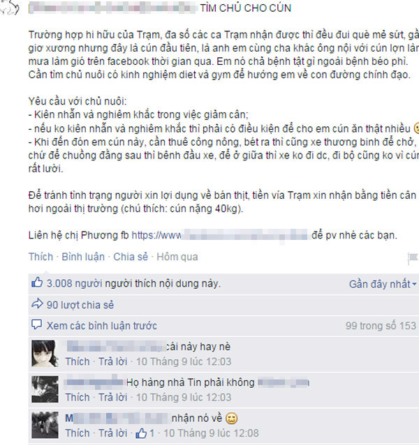 Chú chó béo núc ních tìm chủ có thể… giảm cân cho mình