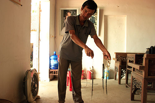 Cả làng hoang mang vì rắn hổ mang "viếng thăm"