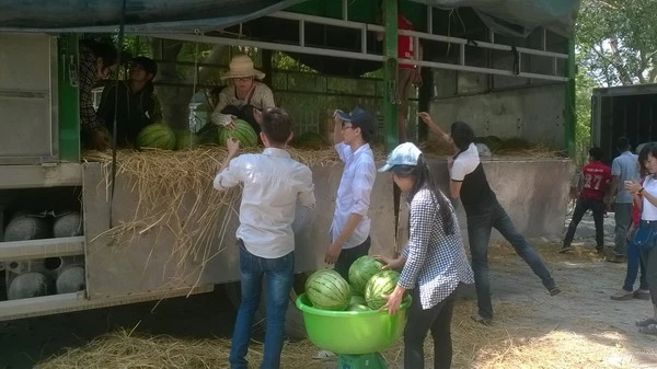 Thành viên nhóm “Kết nối yêu thương” đang vận chuyển dưa hấu đến điểm bán. Ảnh: Nguyễn Quỳnh
