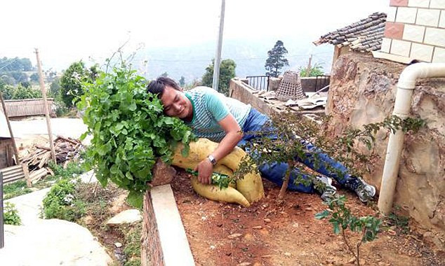 Củ cải hình người khổng lồ dài 1m2 - Ảnh 3