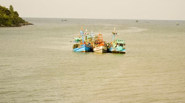 Hướng đến xây dựng các trung tâm nghề cá lớn trên cả nước 