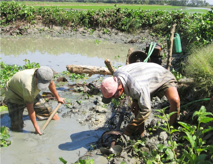 Về miền Tây tát đìa bắt cá 