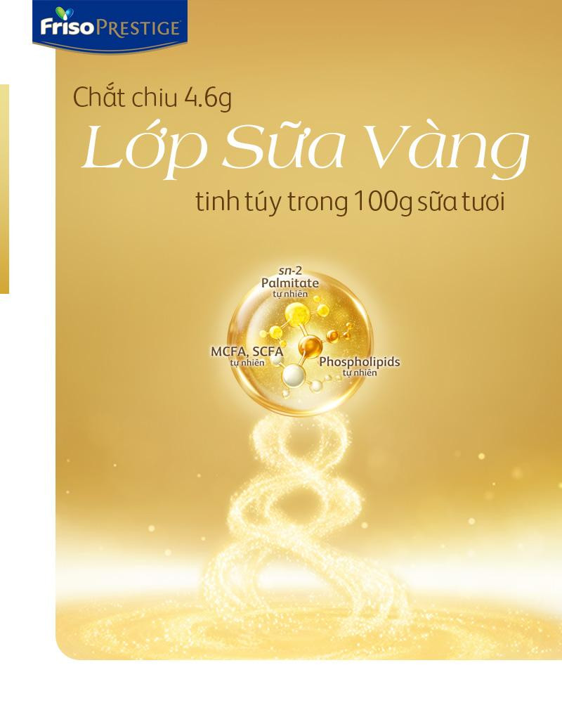 Friso Prestige được chắt chiu từ lớp sữa vàng tinh túy giàu dưỡng chất với 4,6g/100g sữa tươi Friso Prestige được chắt chiu từ lớp sữa vàng tinh túy giàu dưỡng chất với 4,6g/100g sữa tươi