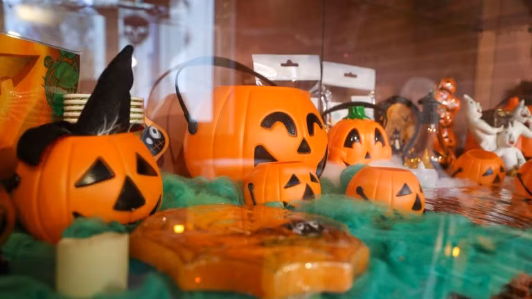 (Ảnh: Global Look Press)