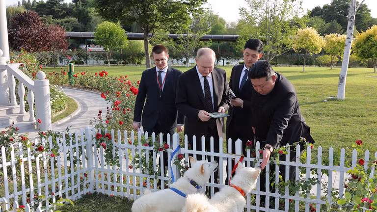 Nhà lãnh đạo Triều Tiên Kim Jong-un tặng Tổng thống Nga Vladimir Putin một cặp chó trong khu vườn của Nhà khách Quốc gia Kumsusan ngày 19/6. Ảnh: AFP