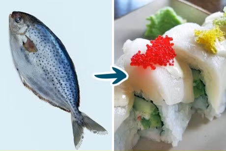 8 loai ca loi it hai nhieu chi nen an han che hoac khong an - Anh 8