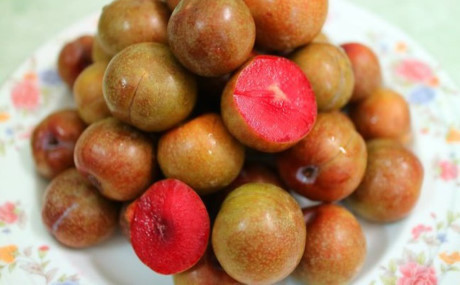 2 mặt lợi, hại của quả mận mà bạn không ngờ đến - Ảnh 3 2 mat loi, hai cua qua man ma ban khong ngo den - Anh 3