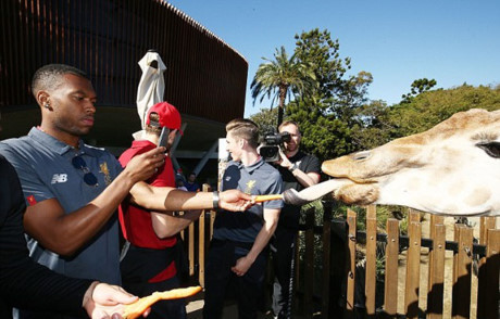 Mot ngay lam tho dan cua dan sao Liverpool - Anh 6