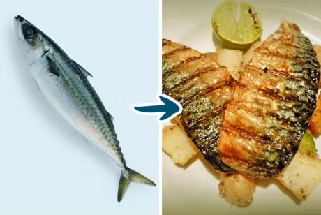 8 loai ca loi it hai nhieu chi nen an han che hoac khong an - Anh 2