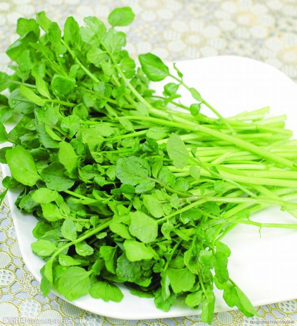 10 thực phẩm cho mẹ muốn có con ảnh 1 10 thực phẩm cực tốt để có em bé