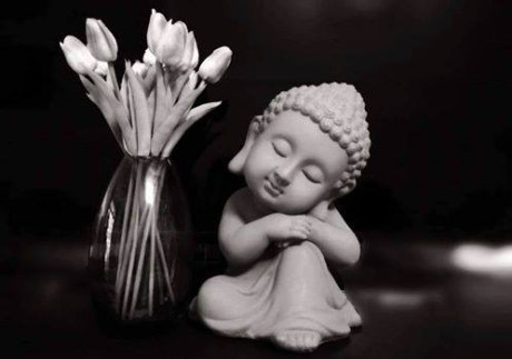 Có phước báu thì hãy biết giữ và tôn tu, đừng vì trước mắt mà tham lam! - Ảnh 1 Co phuoc bau thi hay biet giu va ton tu, dung vi truoc mat ma tham lam! - Anh 1