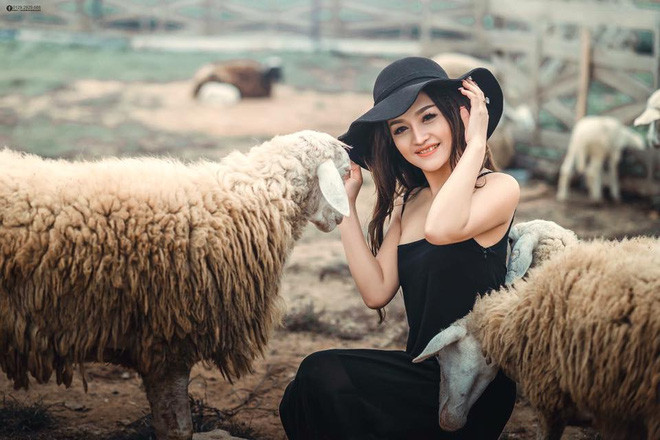 Tô Tường Vy và những hình ảnh bây giờ mới thấy ảnh 5 Tô Tường Vy và những hình ảnh bây giờ mới thấy ảnh 5