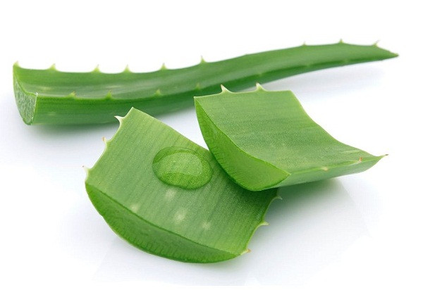Điều kỳ diệu sẽ xảy ra nếu bạn dùng nha đam trị mụn