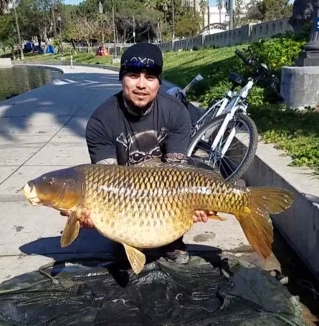 Bat duoc ca chep 23 kg trong cong vien My - Anh 1