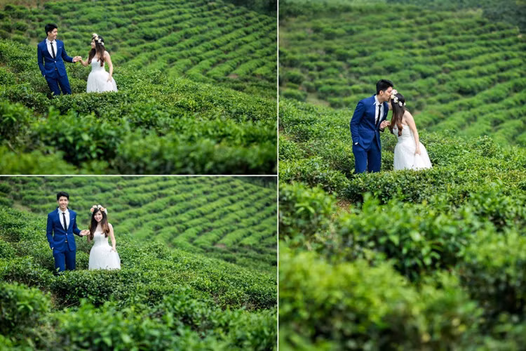 nhung dia diem chup anh cuoi dep nhu mo o da nang hinh 12