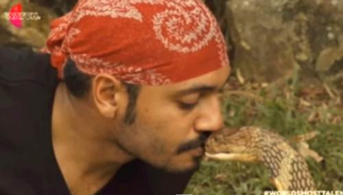 Amjad Khan đang thực hiện màn hôn rắn.
