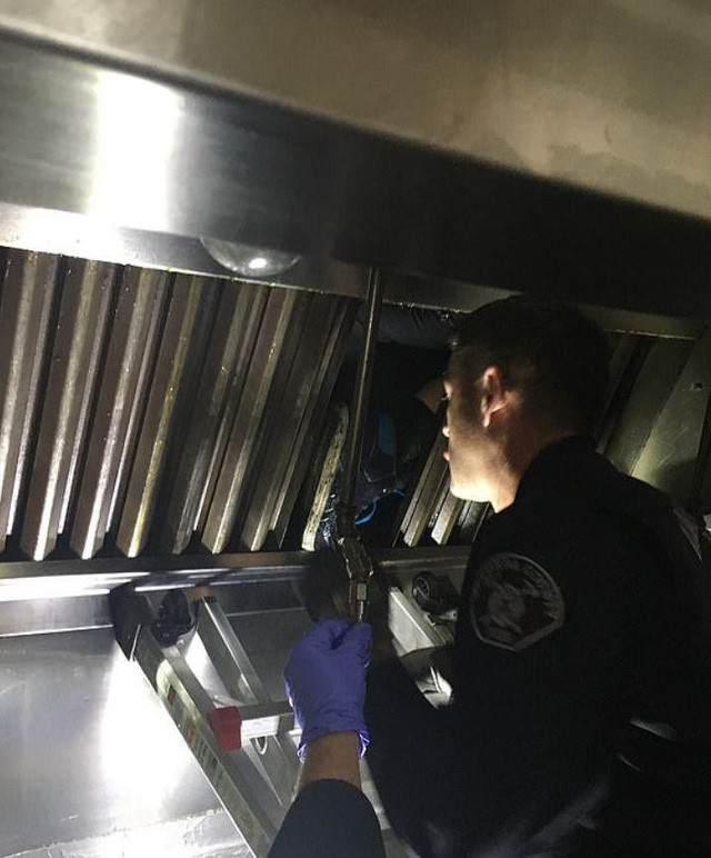 Phải mất tới 1 giờ đồng hồ để đưa kẻ xâm nhập bất hợp pháp ra khỏi ống thông hơi kim loại.