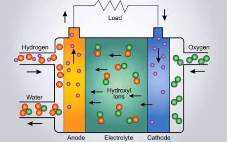 Pin dien thoai se duoc san xuat tu tao bien? - Anh 1