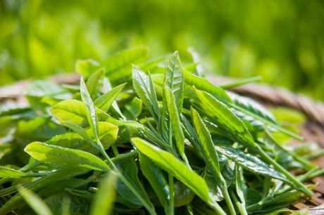 Mẹo trị chân tay khô nứt nẻ hoàn toàn từ nguyên liệu tự nhiên - Ảnh 3 Meo tri chan tay kho nut ne hoan toan tu nguyen lieu tu nhien - Anh 3