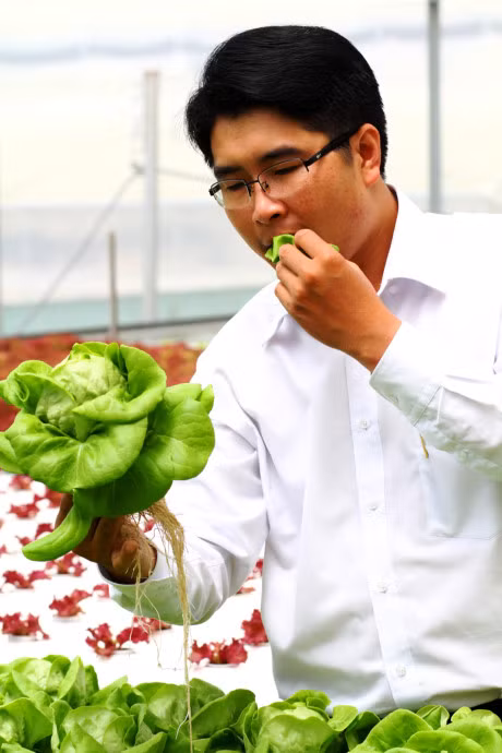 Rau thuy canh thu hoach 15 vu moi nam, an khong can rua - Anh 14