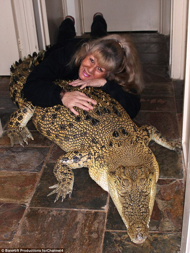 cô Vicki Lowing bên cá sấu Jilly