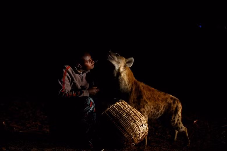 Anh Abbas Yusuf, 23 tuổi, đang cho một con chó sói ăn ở Harar, Ethiopia Anh Abbas Yusuf, 23 tuổi, đang cho một con chó sói ăn ở Harar, Ethiopia