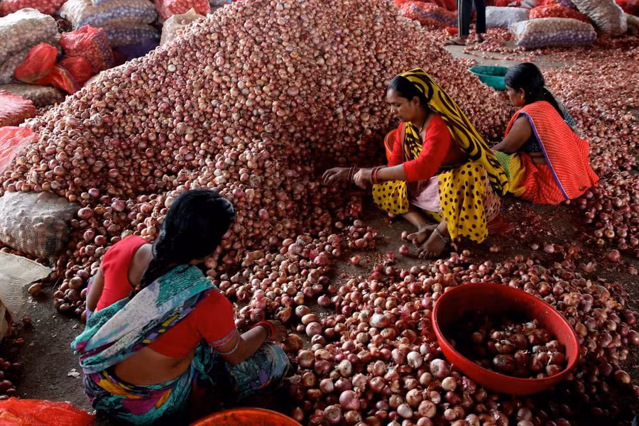 Những lao động Ấn Độ đang phân loại hành tại một chợ bán sỉ ở Bhopal, Ấn Độ Những lao động Ấn Độ đang phân loại hành tại một chợ bán sỉ ở Bhopal, Ấn Độ