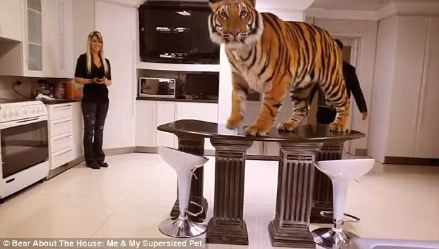 Động vật hoang dã có thể trở thành một phần của gia đình