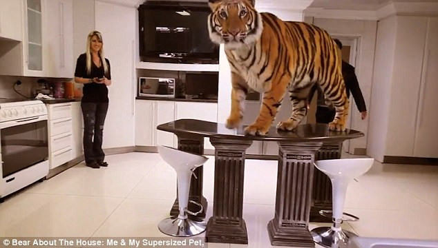 Động vật hoang dã có thể trở thành một phần của gia đình