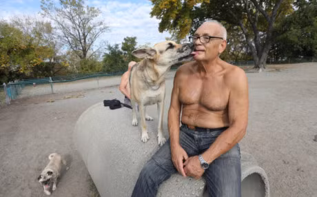 Ly do con nguoi khong nen de cho, meo liem mat - Anh 1