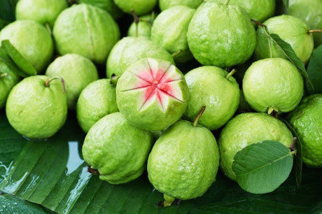 Ăn quả này cả đời bạn không mắc ung thư, tim mạch hay tiểu đường - Ảnh 2 An qua nay ca doi ban khong mac ung thu, tim mach hay tieu duong - Anh 2