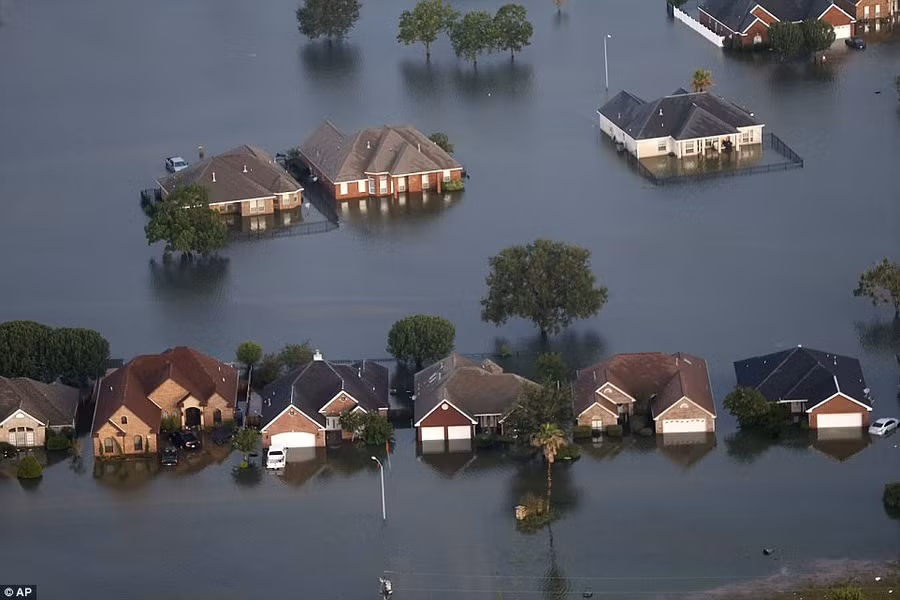 Nhân viên cứu hộ đã đến từng nhà để tìm người sống sót