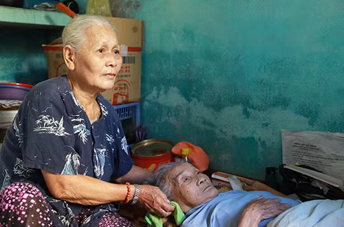 cu-ba-ban-ve-so-nuoi-dong-nghiep-gay-chan-2