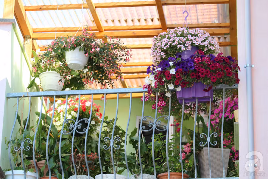 Khu vườn đẹp như tranh vẽ có hoa nở suốt 4 mùa của mẹ Việt ở Đức ảnh 9