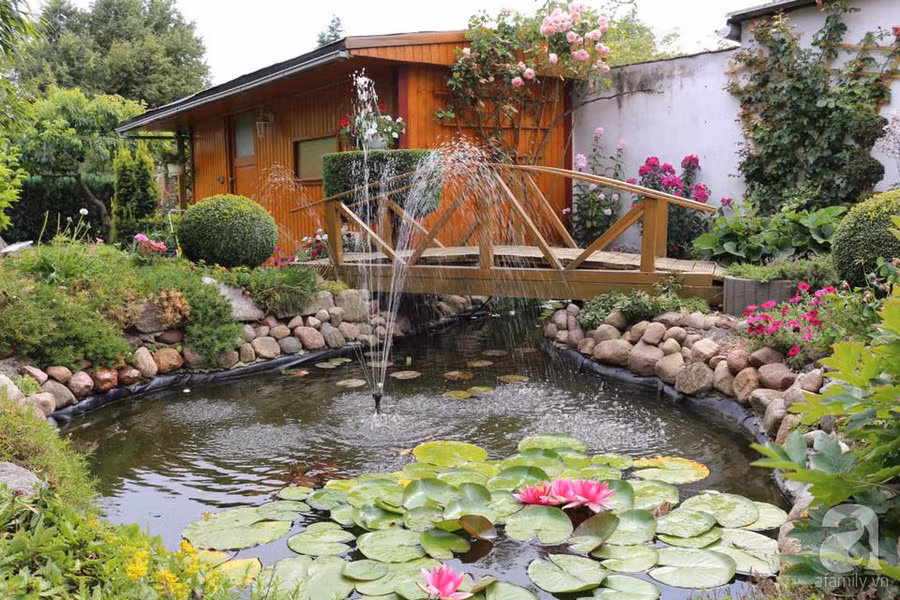 Khu vườn đẹp như tranh vẽ có hoa nở suốt 4 mùa của mẹ Việt ở Đức ảnh 4