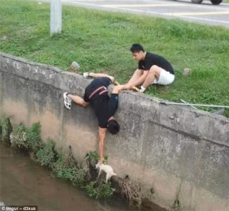 Nhung buc anh cam dong ve long tot khien bao trai tim tan chay - Anh 8