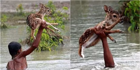 Nhung buc anh cam dong ve long tot khien bao trai tim tan chay - Anh 4