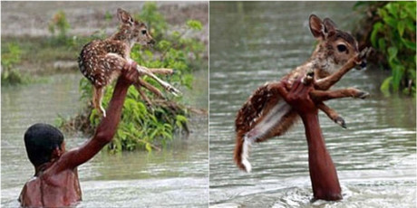 Những bức ảnh cảm động về lòng tốt khiến bao trái tim tan chảy - Ảnh 4 Nhung buc anh cam dong ve long tot khien bao trai tim tan chay - Anh 4