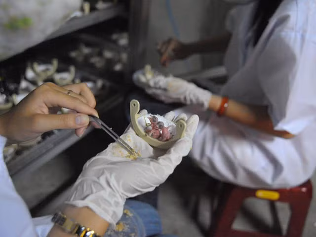 khach san 6 tang danh het 2 tang de... nuoi yen hinh anh 3