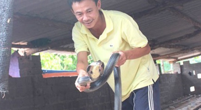 Ông Đồng Văn Phong - người nuôi rắn nhiều nhất thôn - hào hứng chia sẻ về nghề.