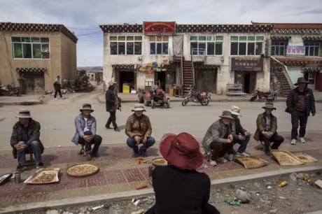 Cuoc san tim Dong trung ha thao tren cao nguyen Tay Tang - Anh 6