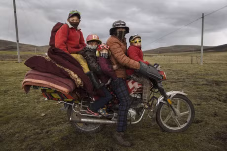 Cuoc san tim Dong trung ha thao tren cao nguyen Tay Tang - Anh 7