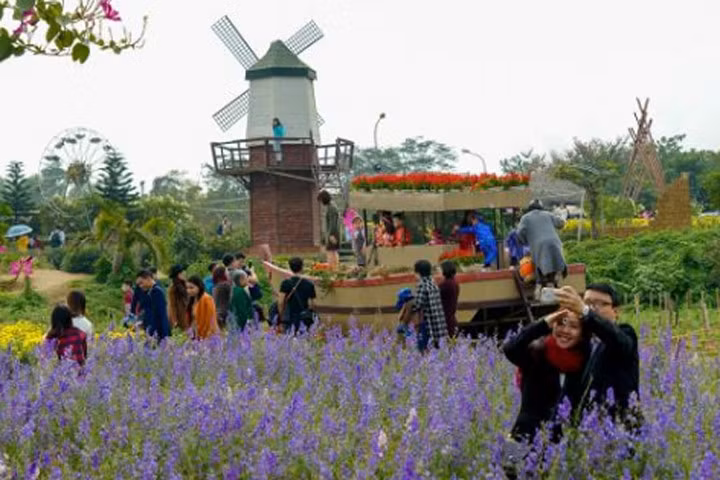 Làng hoa Nhật Tân rộn ràng du khách check-in dịp giáp Tết