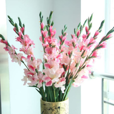 Cắm hoa Tết: Cách cắm hoa lay ơn đẹp ngày Tết - Ảnh 6 Cam hoa Tet: Cach cam hoa lay on dep ngay Tet - Anh 6