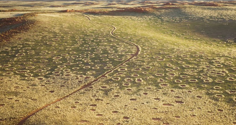Giải mã bí ẩn các vòng tròn cát trên sa mạc Namib, Namibia - Ảnh 2 Giai ma bi an cac vong tron cat tren sa mac Namib, Namibia - Anh 2