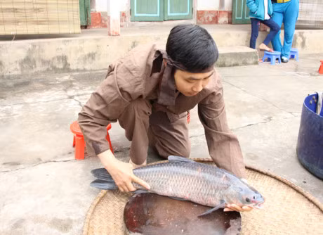 Bi mat 10 loai gia vi co trong noi ca kho lang Vu Dai - Anh 3