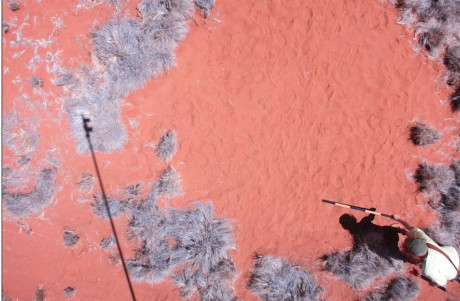 Giải mã bí ẩn các vòng tròn cát trên sa mạc Namib, Namibia - Ảnh 1 Giai ma bi an cac vong tron cat tren sa mac Namib, Namibia - Anh 1