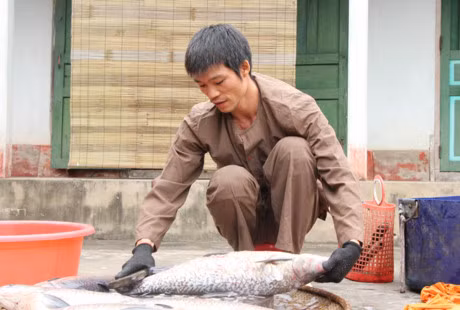 Bi mat 10 loai gia vi co trong noi ca kho lang Vu Dai - Anh 4